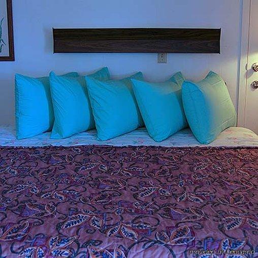 Rainbow Motel Hastings Εξωτερικό φωτογραφία